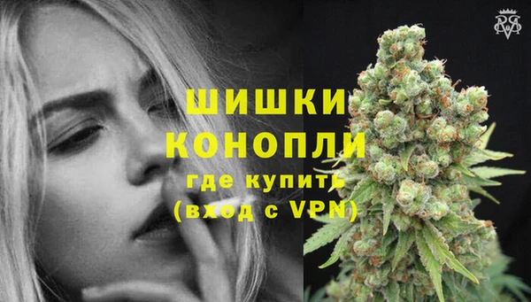 spice Белокуриха