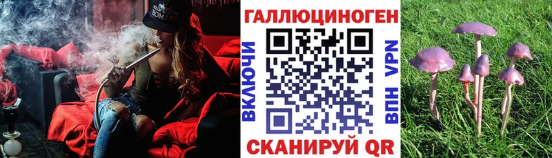 Псилоцибиновые грибы мухоморы  дарнет шоп  Талица 